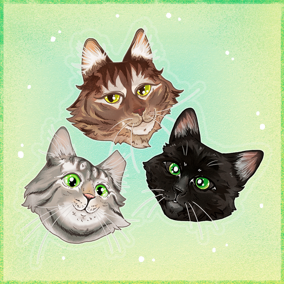☆ NEW ☆